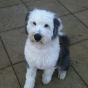 donna groves - @GrovesDonna - Twitter