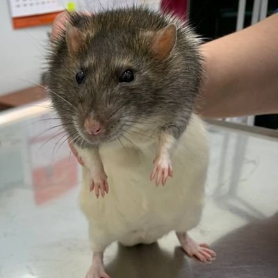 Nicroman27さんのプロフィール画像