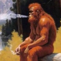 Ø (@oyvindcore) 's Twitter Profile
