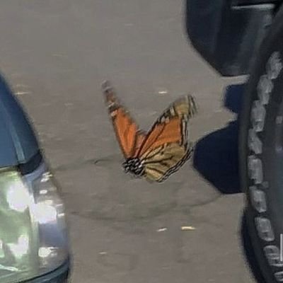 _reverie_pj's profile picture. 🖤💗