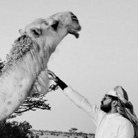 م🎫. (@mbb577) 's Twitter Profile