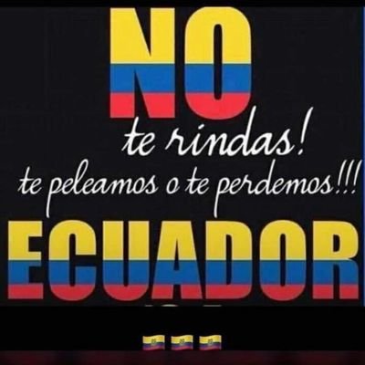 Con mucha fe en nuestro trabajo diario y agradecido con DIOS por haber nacido en mi lindo ECUADOR, que con otros gobernantes sería mucho mejor.
En pié de lucha.