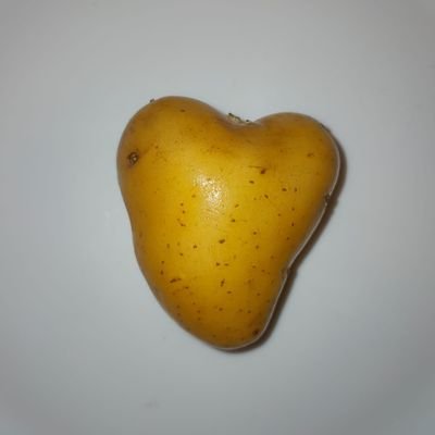 Psolo00087186's profile picture. 