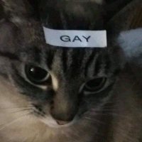 strawb :3 (@lemonstrawb) 's Twitter Profile