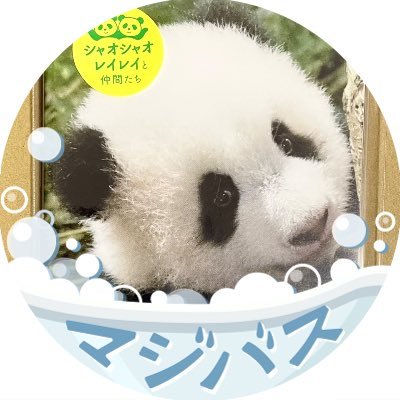 情報収集でAIM アカウント作成しました🐼無言フォロー失礼します。気軽にフォローよろ🫡AIMはフォロバ💕 ＃あいみょん好きと繋がりたい ＃仙台 #ミトミト🍝 #傷恋👠 #PPY #まある #サーチライト #マジバス🛁 #ラブコール ＃ドルアパ🐬 エロと勧誘いらない