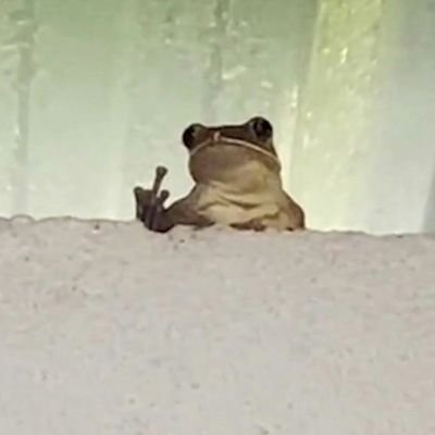 NateHiggzy69's profile picture. I'm just nate higgers the fourth