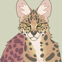 servals 🌿🏞️🌻 (@tallearedfelid) 's Twitter Profile