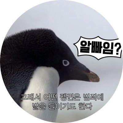 🆕さんのプロフィール画像