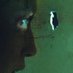 ben (@ben225223981081) Twitter profile photo ben (@ben225223981081) Twitter profile photo