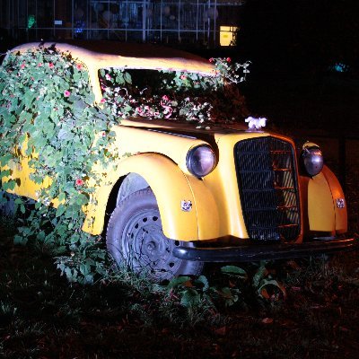 epictrivial's profile picture. just another daydreamer