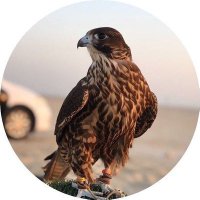 ثامر (@thaammrrr) 's Twitter Profile
