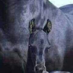 AhlawiToti's profile picture. Life is short why don't we enjoy it  !!??