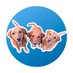 🧡Lushlabs🧡 (@lushlabs) Twitter profile photo 🧡Lushlabs🧡 (@lushlabs) Twitter profile photo