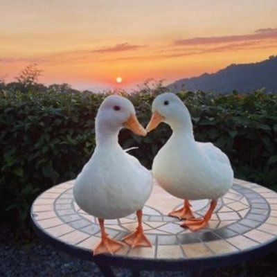 my_coffeecorner's profile picture. 