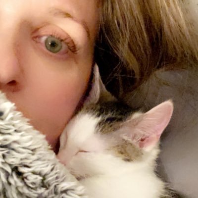 VetMed | Kittens | Naps | KU | Kansas City https://t.co/gEvVXVHRTh