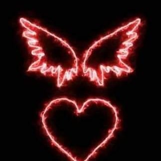 Alejand54081832's profile picture. 