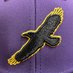 Voorheesville Varsity Baseball (@VVBirdsBaseball) Twitter profile photo