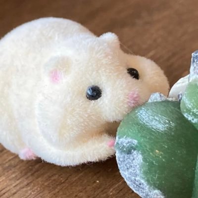 ぽっぽさんのプロフィール画像