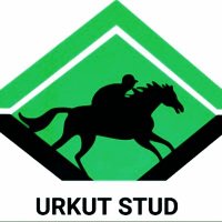 URKUT STUD(@Urkut_Ekurisi) 's Twitter Profile Photo