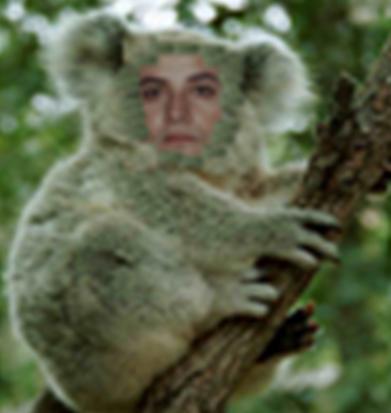 E_Ree22x_'s profile picture. Clicker,Tech Follower, PGD,Opiner.Lets share some Issues,SassyNews,Tech,Gizmos,Poetry,Networking,Quotes, jokes,E-pinions,Retweets...