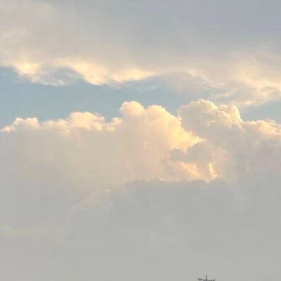 didlittle234's profile picture. 