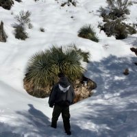 _julian_guzman (@_julian_guzman) 's Twitter Profile