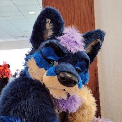 A tiger trapped in a blue fox fursuit.  The 18+ stuff is over on my AD account @TigsfordAD Telegram:  @Tigsford 
Bluesky:  https://t.co/nA4yjACwlq…