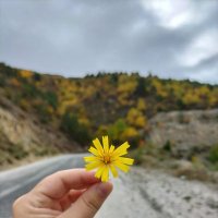 Nurgül Cebeci (@nurgulbuyuker_c) 's Twitter Profile