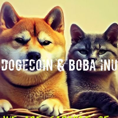 A football and cryptocurrencies lover
#crypto is the future
#BTC to $100k #bobainu to $1000