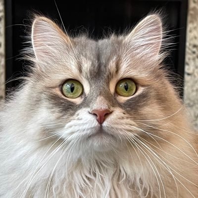 KerriHelms's profile picture. 