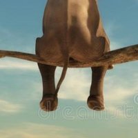 knapper is great (@colotbc) 's Twitter Profile Photo knapper is great (@colotbc) 's Twitter Profile Photo