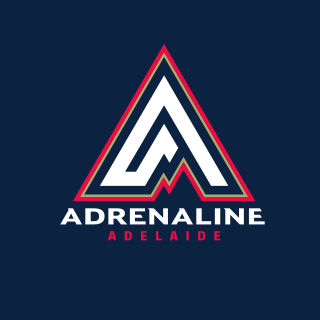 The official twitter account for the Adelaide Adrenaline Ice Hockey Club #aihl