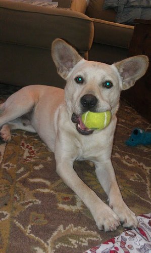 threefourtwotwo's profile picture. let it be.