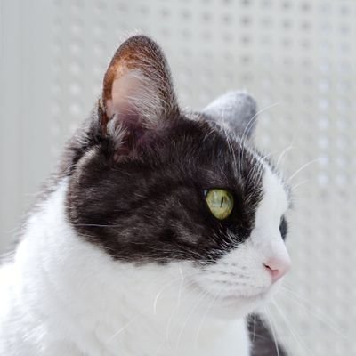 in sapporo / Frontend Developer / Full remote worker / TeamDev / child / 主夫道
写真 https://t.co/nEYkwFyDMU
おすすめポッドキャスト https://t.co/bWzSsgsVIR
令和5年 2024年 34-35