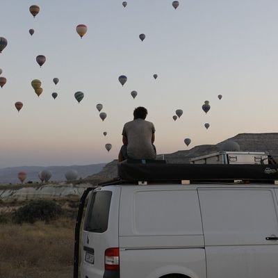 niko_mandl's profile picture. #faunistischeGutachten, #naturnaheBeweidung #Umweltschutz #Ökologie #Ornithologie #Rewilding #Holzbau #Zimmerer #Entomologie #Artenkenntnis #faktenbasiert