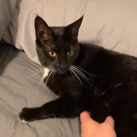 Nick (@nick5371906311) Twitter profile photo