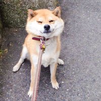 anon (@anonngmi) 's Twitter Profile