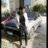 lilsaaddd's profile image