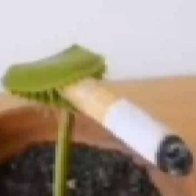 the_the_the_th's profile picture. 🏴󠁧󠁢󠁷󠁬󠁳󠁿