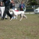 Oliver Rivera - @olydogo - Twitter