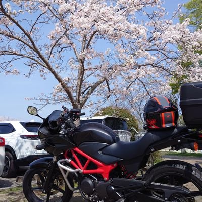 へびさんのプロフィール画像