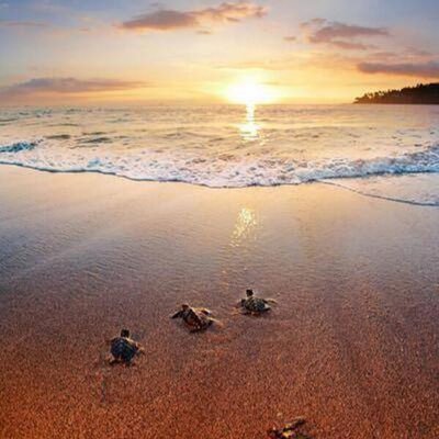 jolierika's profile picture. Comunicologa... amateur de la fotografía.