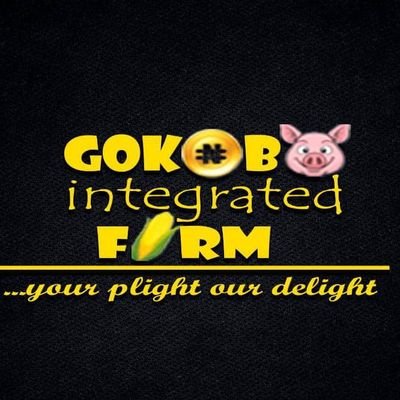 iam_styrinx's profile picture. #Hustlethariteway 🔨🔧🔩💈