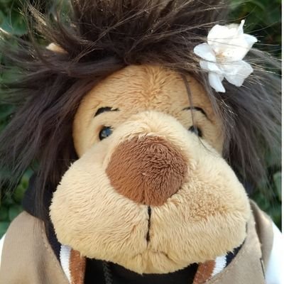 daifukuanko0622's profile picture. 