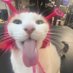 WeirdoCat comms open(6/10) ๐ (@theweirdo_cat) Twitter profile photo WeirdoCat comms open(6/10) ๐ (@theweirdo_cat) Twitter profile photo