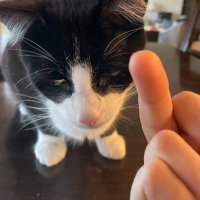 leo (@randersonmarshy) 's Twitter Profile