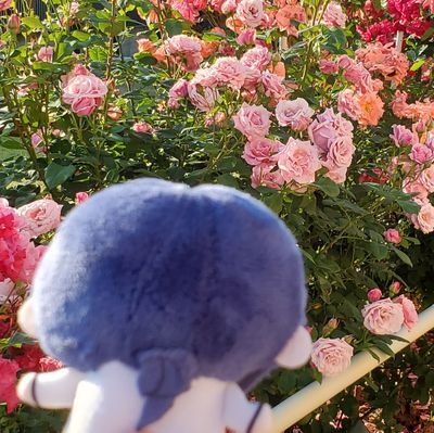 片桐青葉さんのプロフィール画像