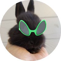 데못즙 (@dmg_cinamon) 's Twitter Profile