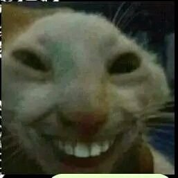 ButtowskyJoseph's profile picture. 🔥🔥