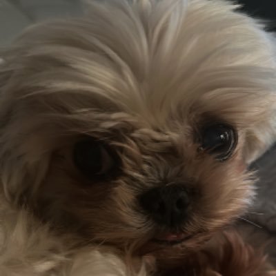 hamitr12's profile picture. 